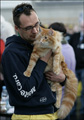 koty kocięta norweskie leśne, kociaki z rodowodem, kocięta na sprzedaż
